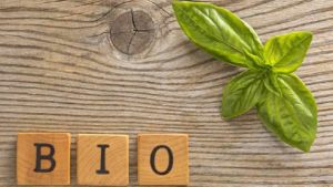 Scopri di più sull'articolo SQ free: la prima azienda siciliana a puntare sugli alimenti speciali, dal senza glutine al bio