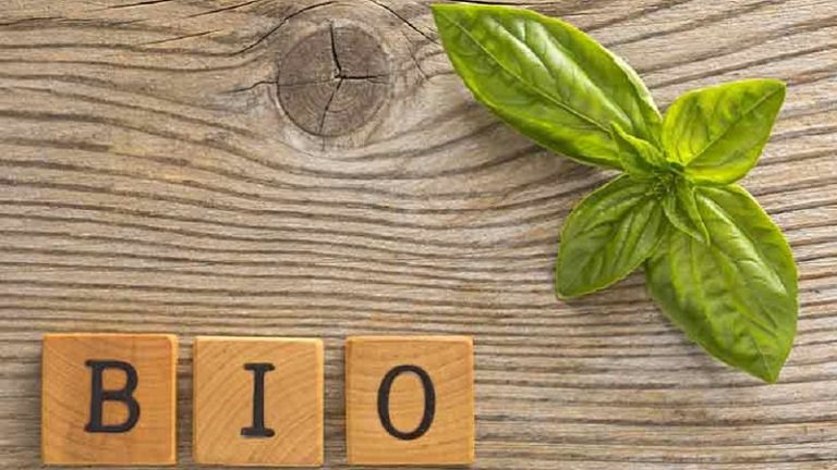 SQ free alimenti speciali senza glutine bio